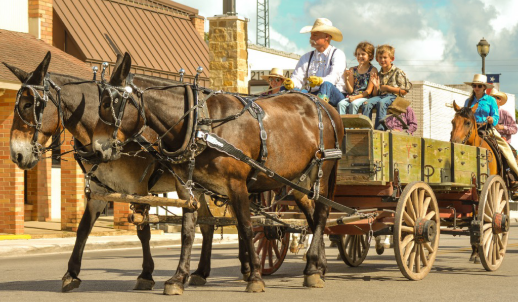 Pleasanton is known as the Birthplace of the Cowboy