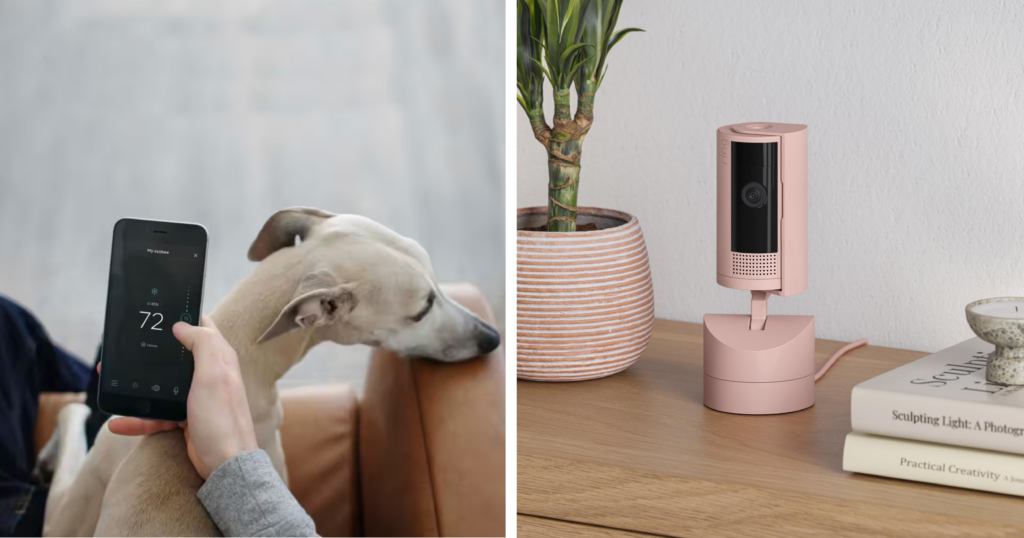Smart Home Features - Smart Thermostats and Voice-Controlled Assistants